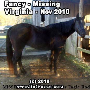 MISSING EQUINE Fancy, Near Eagle Rock, VA, 24085